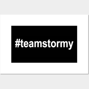 #teamstormy Hashtag Team Stormy Stormy Daniels Trump Posters and Art